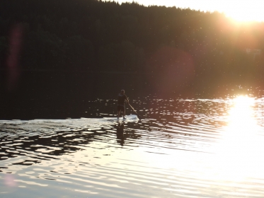 paddleboard